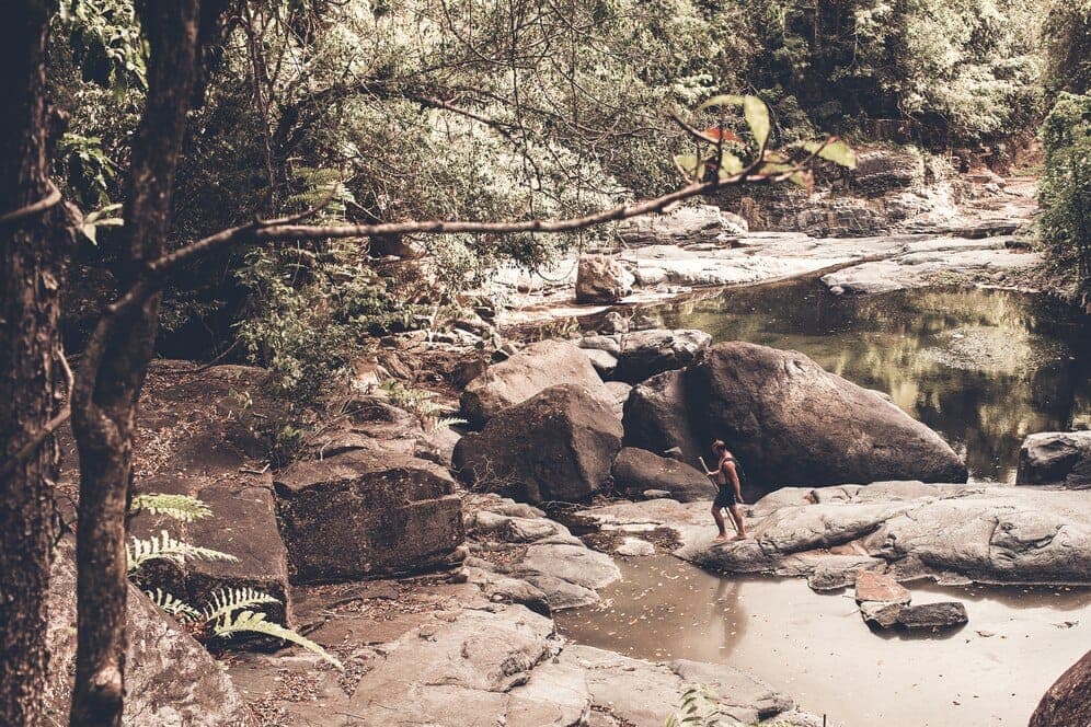 unveiling-the-serenity-of-soundscapes-exploring-the-music-of-nature