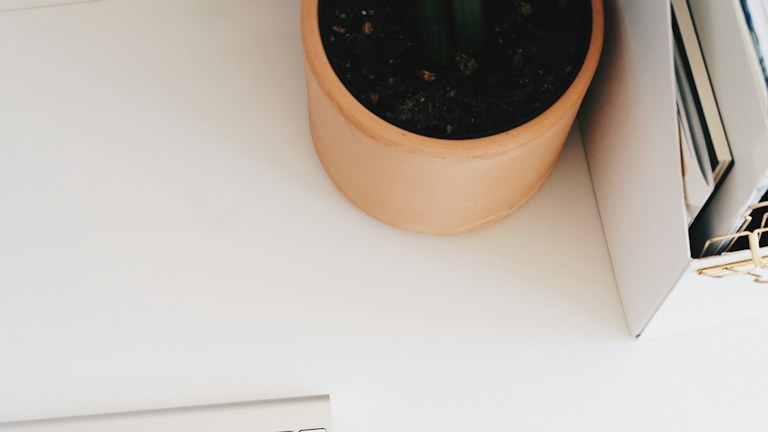 Plant and stationery on a white desk